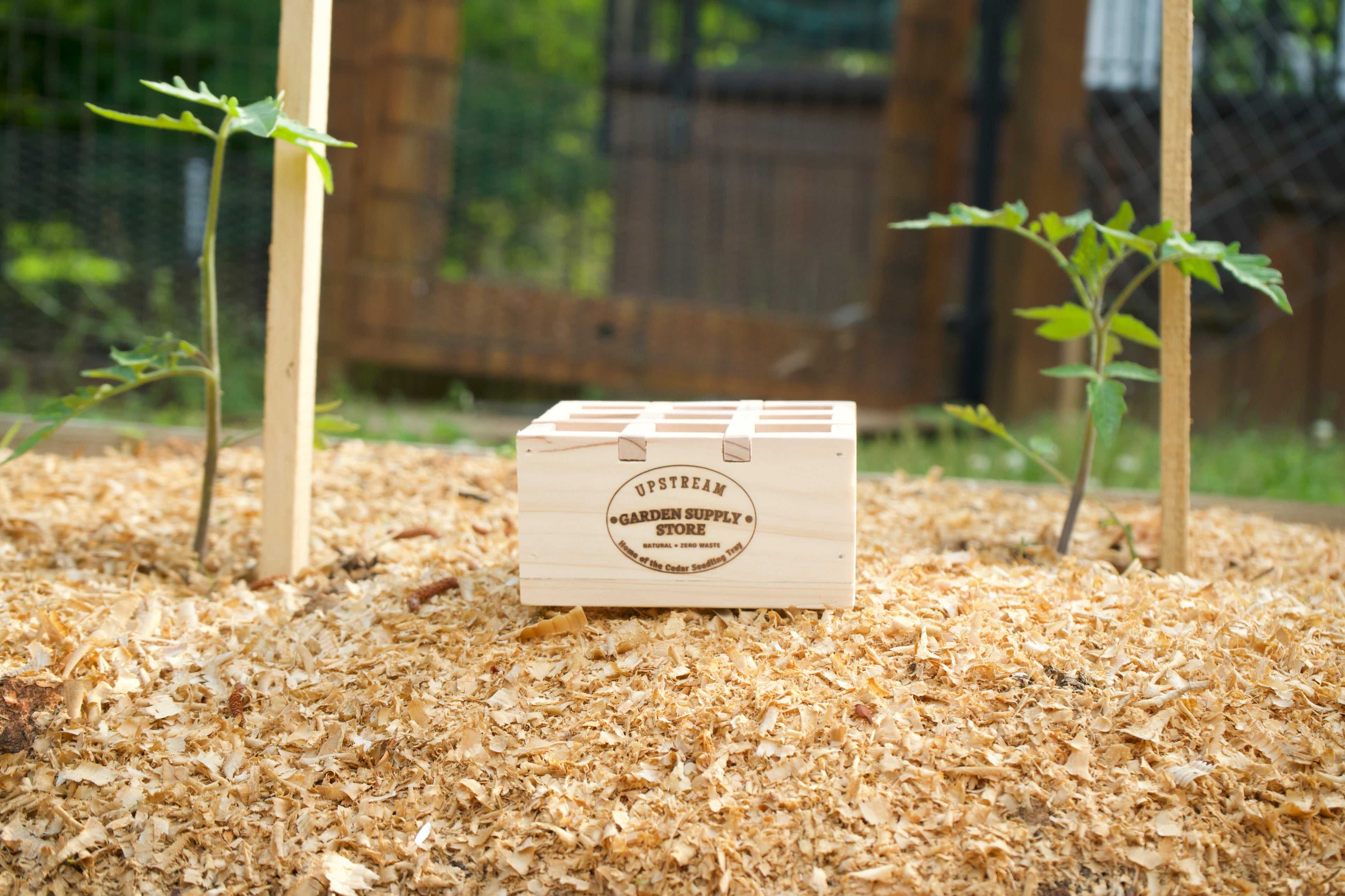 MICRO 9-Cell Cedar Seedling Tray image 6
