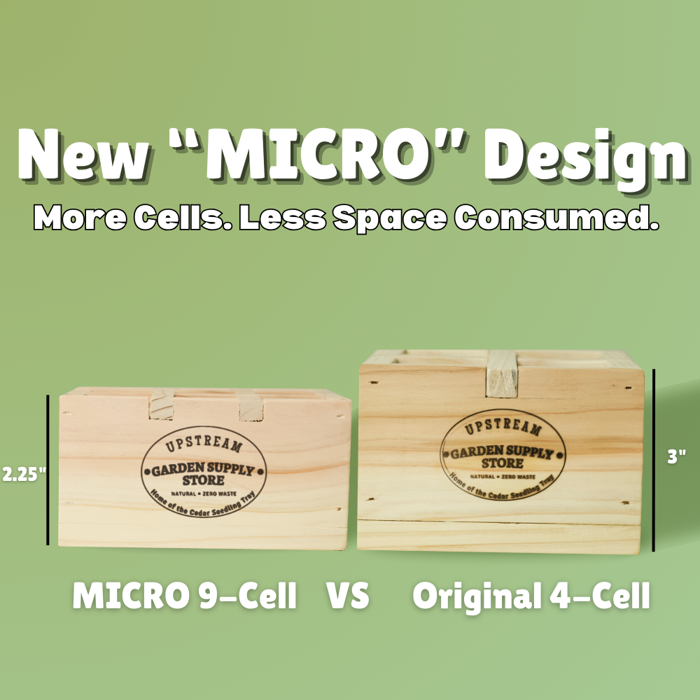 MICRO 9-Cell Cedar Seedling Tray image 4