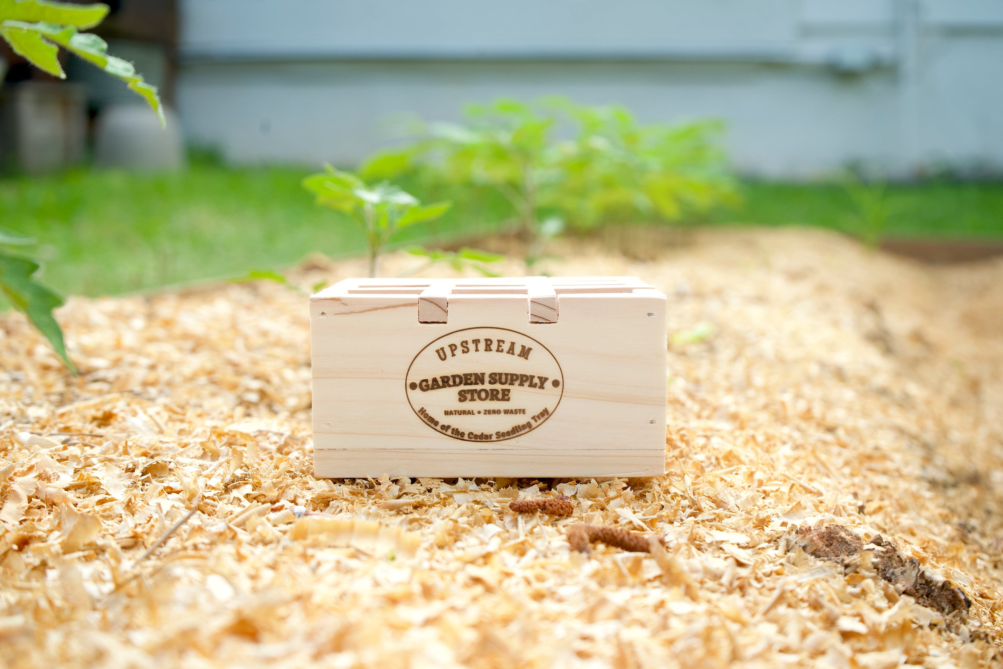 MICRO 9-Cell Cedar Seedling Tray image 1