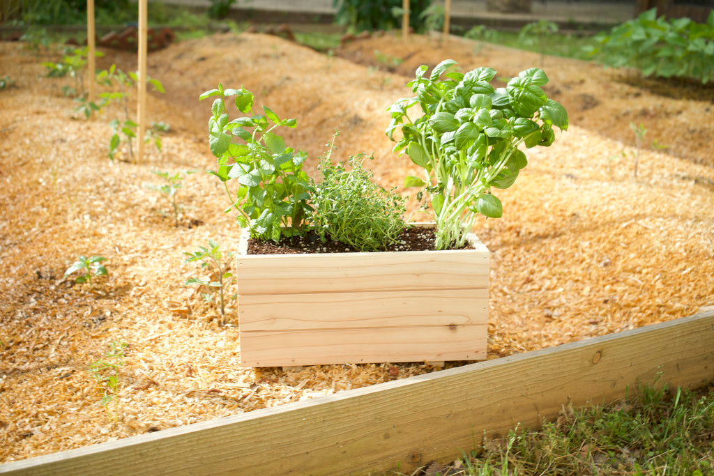 Small Cedar Planter Box image 2