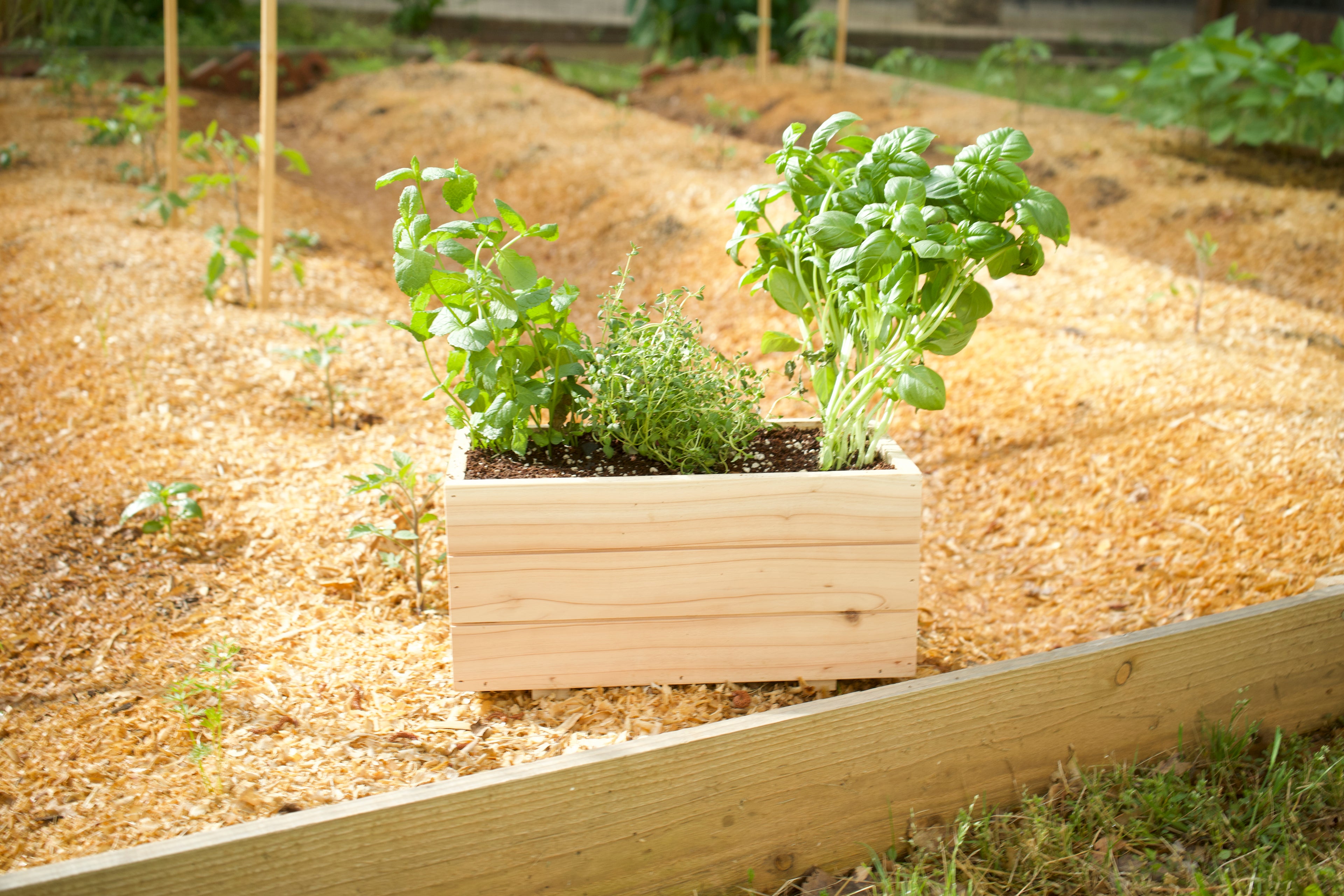 Small Cedar Planter Box image 2