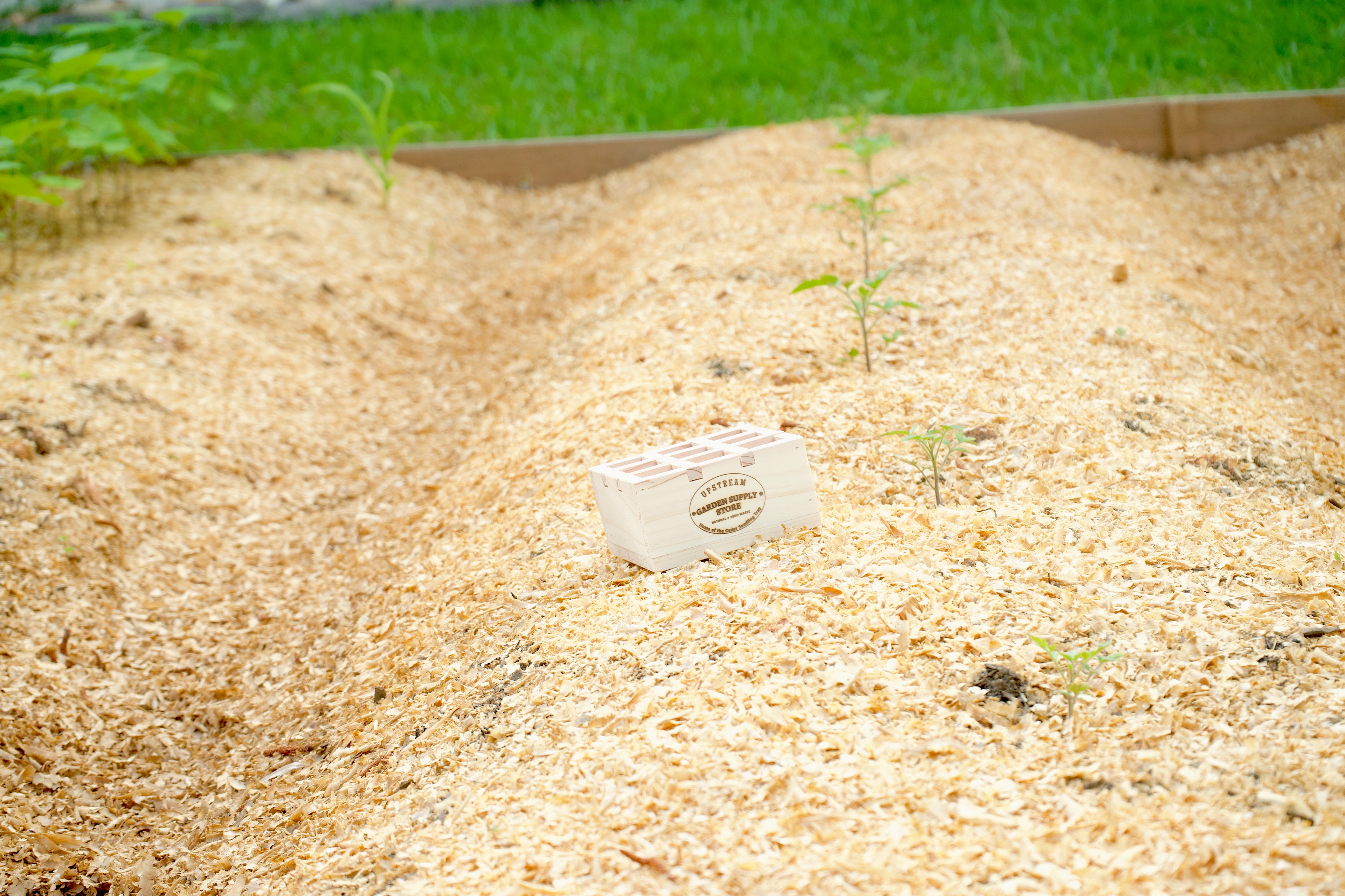 MICRO 9-Cell Cedar Seedling Tray image 5