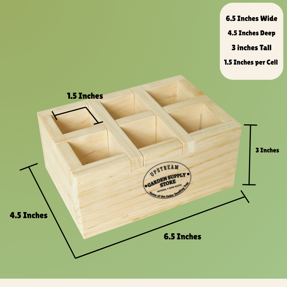 6-Cell Cedar Seedling Tray & Planter image 3
