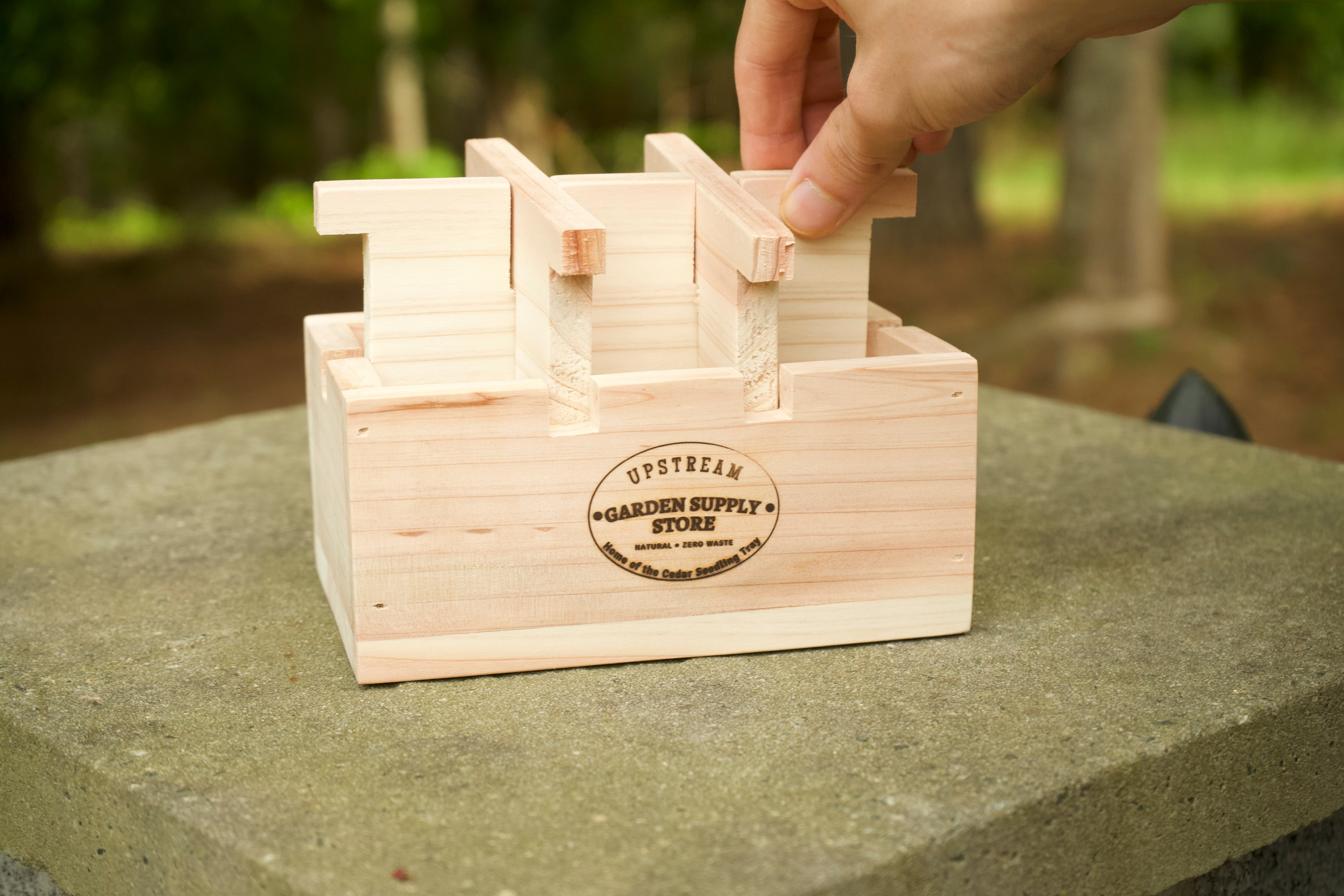 6-Cell Cedar Seedling Tray & Planter image 2