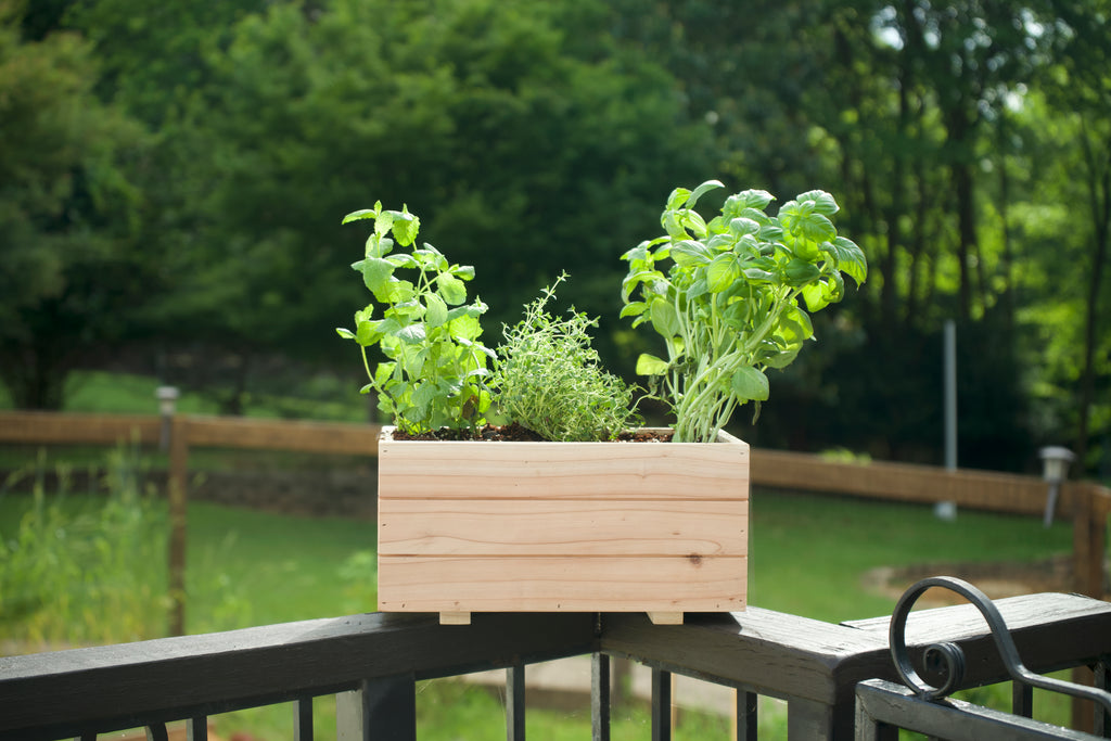 Small Cedar Planter Box image 3