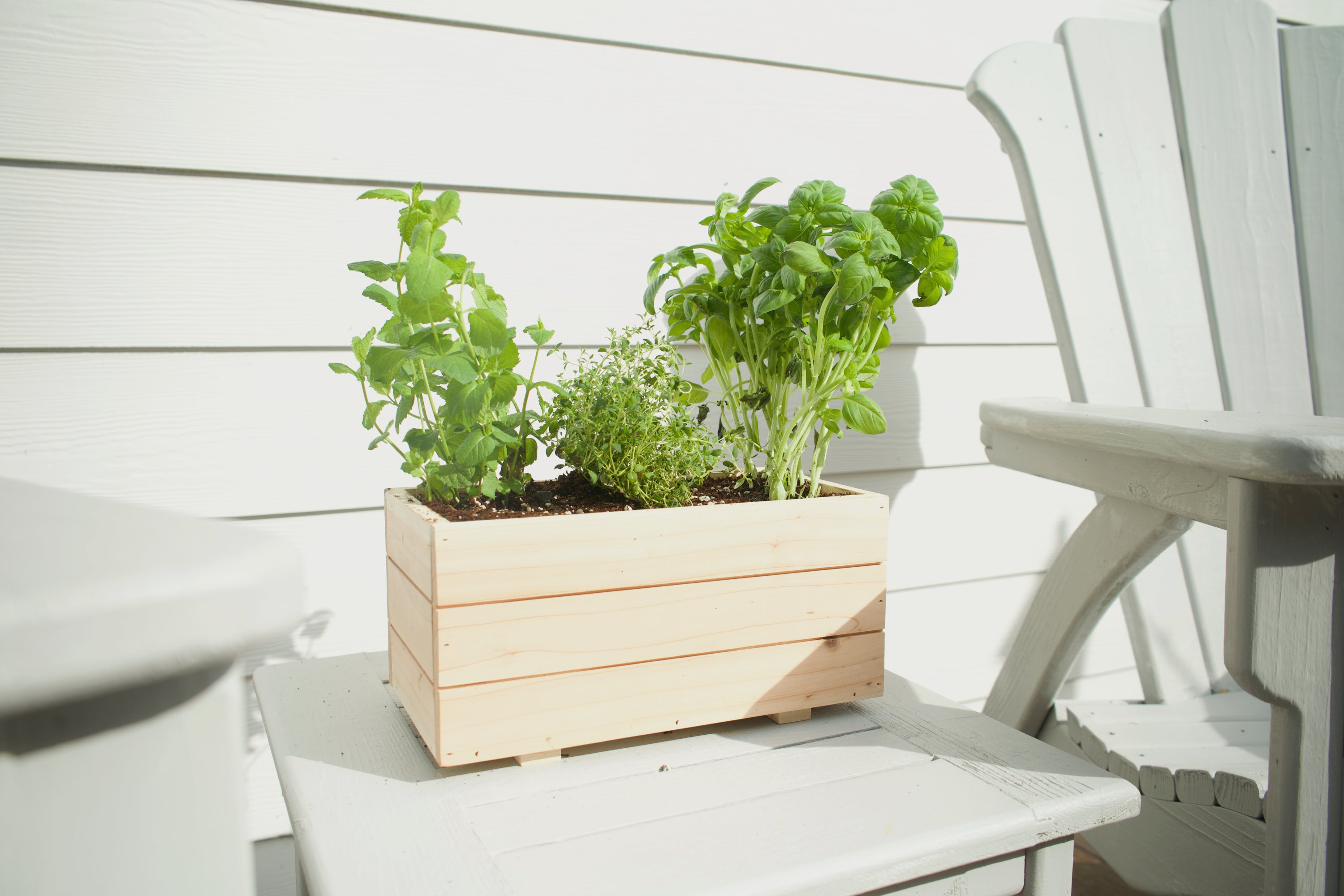 Small Cedar Planter Box image 0